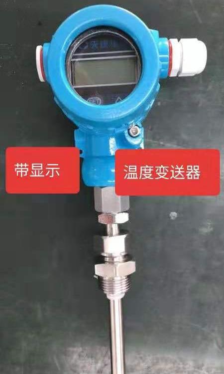 安徽天康厂价直销带温度变送器防爆热电阻（偶）