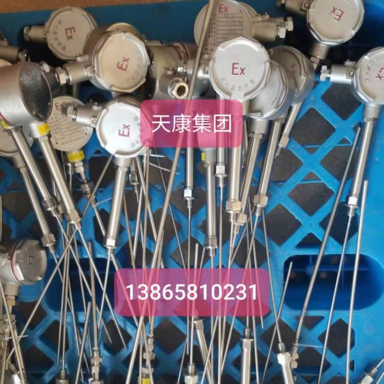 安徽天康厂价直销化工用铠装热电偶