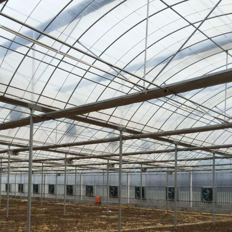 薄膜温室大棚|连栋温室|大棚建设-青州市金阳温室工程有限公司