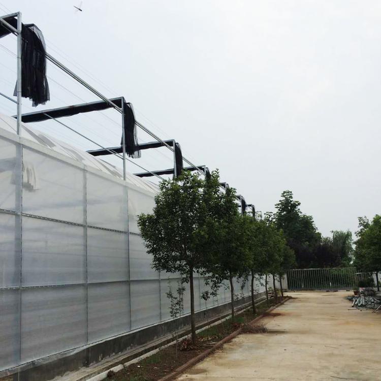智能玻璃温室建设_蔬菜花卉温室建造_高温连栋温室建设_生态餐厅青州市金阳温室工程