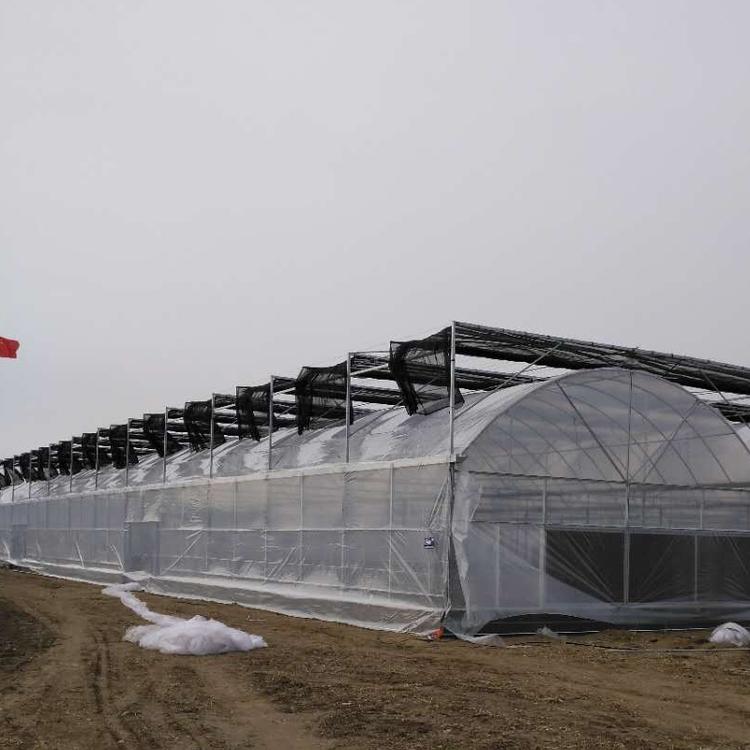 贵州温室大棚|连栋大棚|玻璃温室-青州市金阳温室工程有限公司