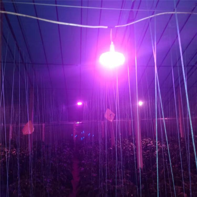 厂家直供大棚专用补光灯  植物补光灯  /LED灯  雨农农业