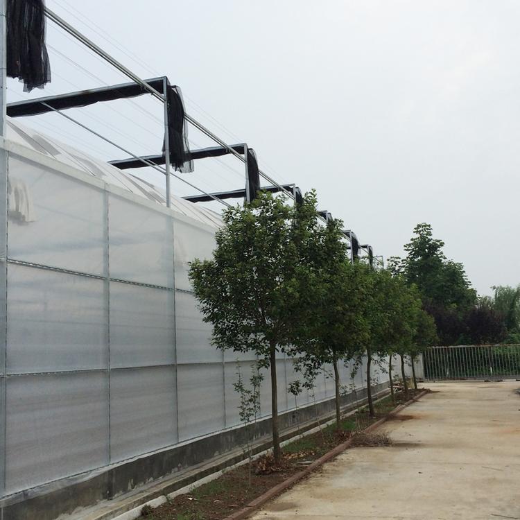 蔬菜温室大棚工程青州金阳温室 温室大棚 蔬菜温室大棚