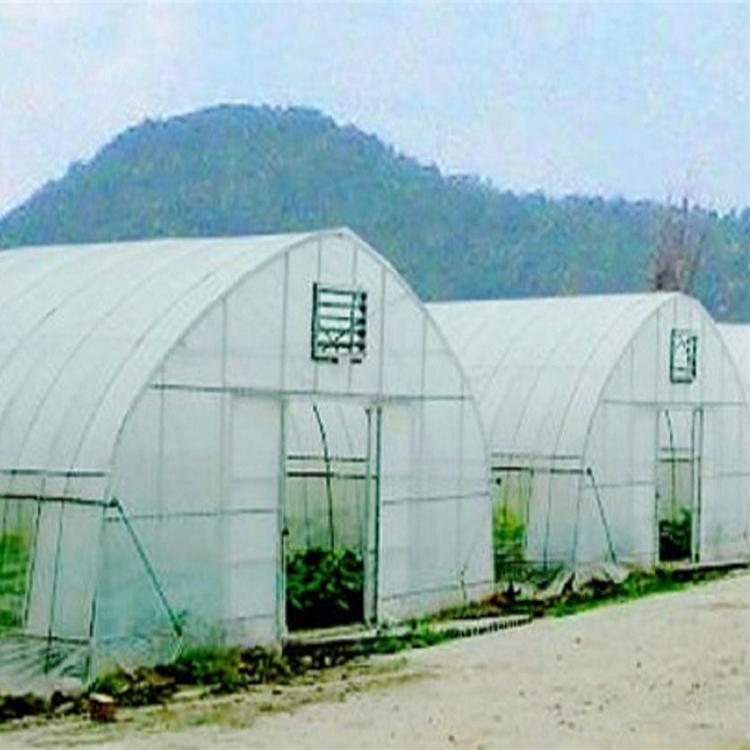 种植大棚  蔬菜种植大棚  蔬菜种植大棚报价