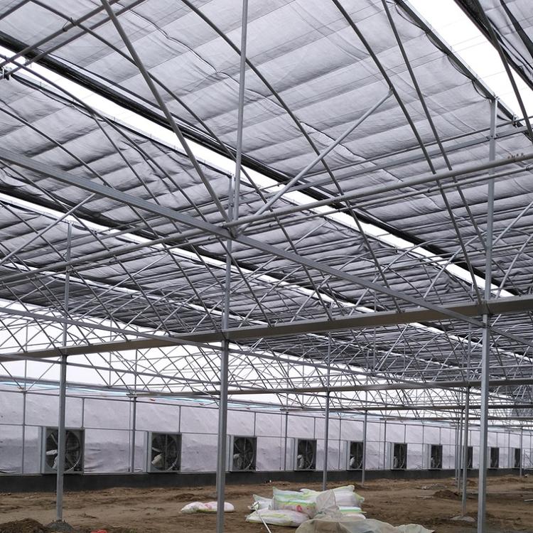 温室大棚|连栋大棚|大棚|温室|山东潍坊青州金阳温室工程有限公司