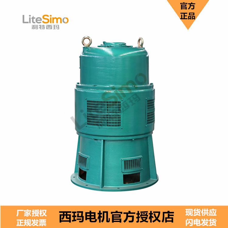 JR系列 6KV/10KV  西安西玛电机 中型电机