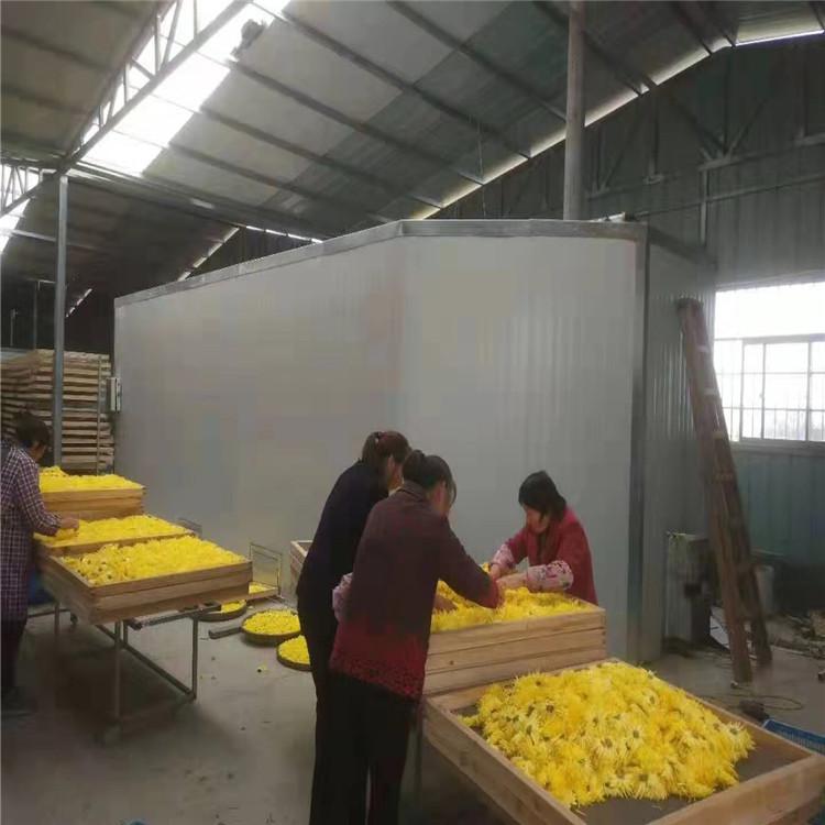 厂家专业生产不锈钢烘箱_野菊花烘干机_药材干燥箱_菊花烘干机