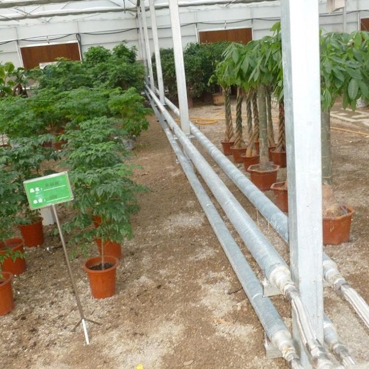 青州温室大棚厂-智能温室大棚造价,玻璃蔬菜温室大棚,连栋温室大棚