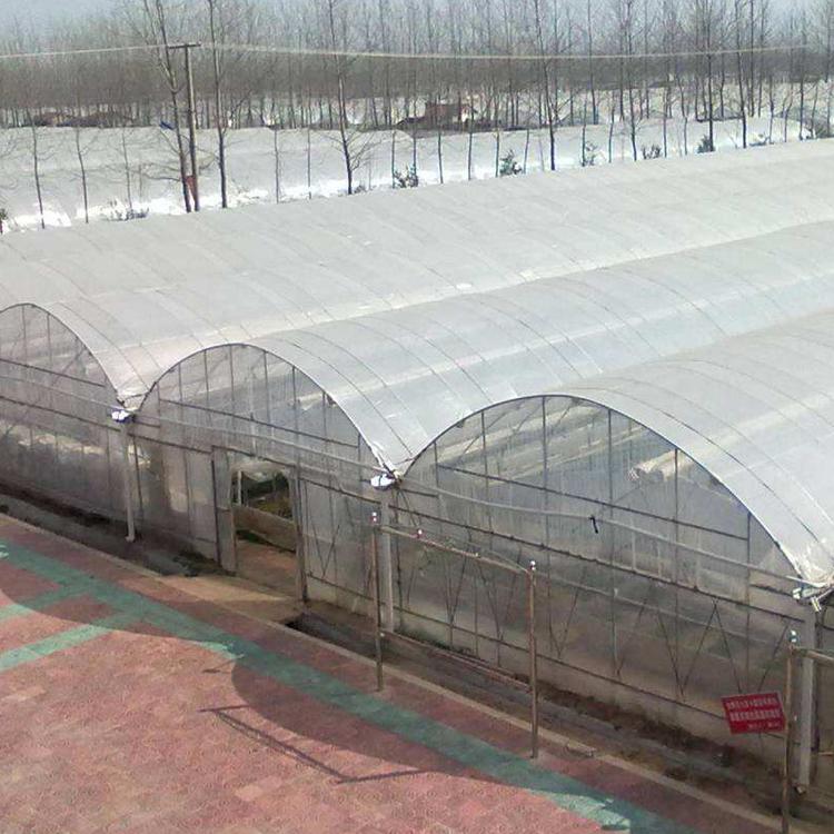 潍坊 专业建造各种大棚连栋 骨架厂家 一亩只需800元