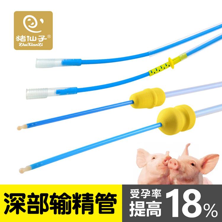 猪仙子初产猪用深入子宫输精管 猪用深部输精管 一次性深度输精管