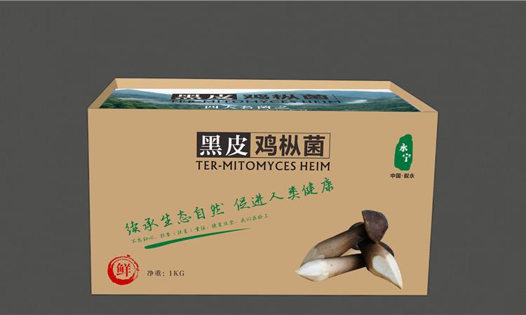 四季菌业直供黑皮鸡枞菌 黑皮鸡枞菌鲜品礼盒