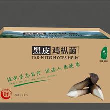 四季菌业直供黑皮鸡枞菌 黑皮鸡枞菌鲜品礼盒