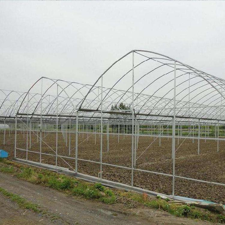 大棚连栋大棚温室大棚青州金阳温室工程有限公司欢迎您