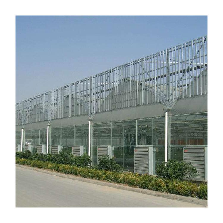 连栋大棚骨架建设简易连栋大棚设计造价青州金阳温室工程有限公司