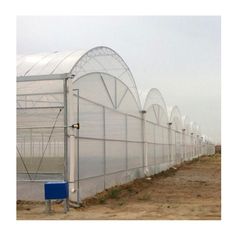 温室大棚蔬菜大棚连栋大棚连栋温室大棚厂-青州金阳温室工程有限公司