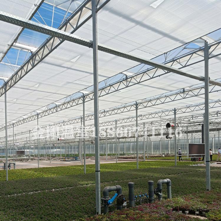 薄膜温室大棚建设需要投资价格  温室技术-青州金阳温室工程有限公司