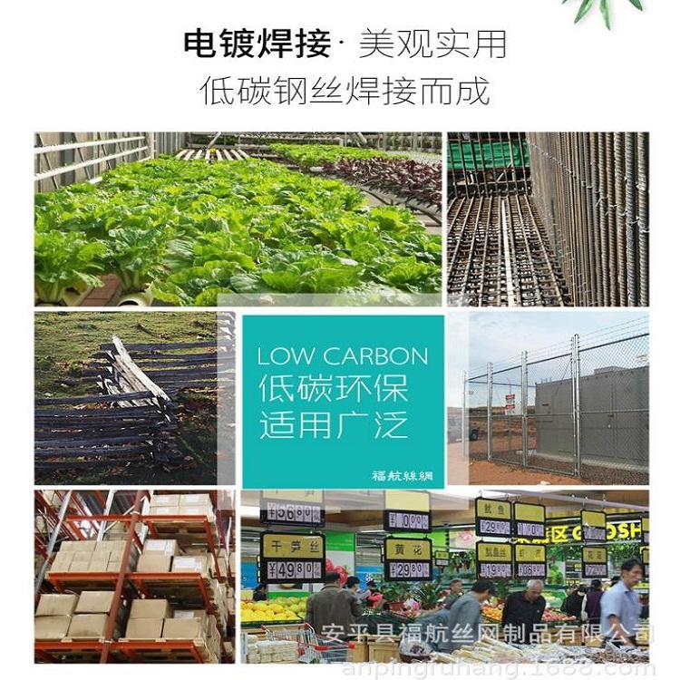 工厂直销现货电镀网片电镀钢丝网片镀锌钢丝网片