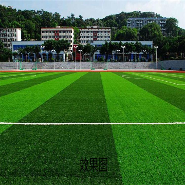 四川学校人造草坪_四川足球场人造草坪_一站式服务让你无后顾之忧