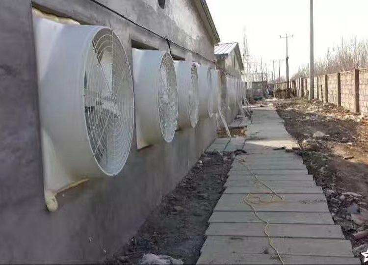 厂家直销玻璃钢风机 通风降温 防腐蚀性强 猪舍专用负压风机 价格优惠