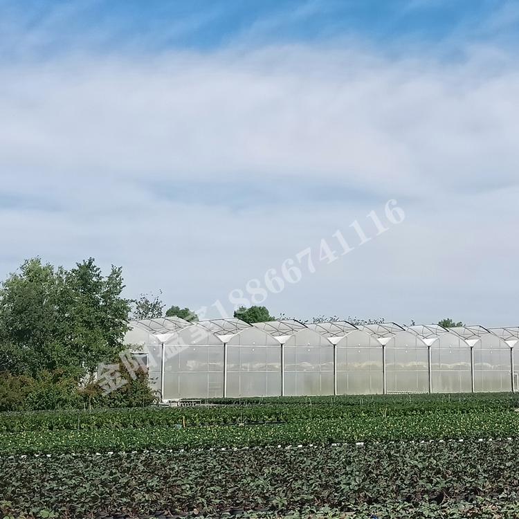 青州金阳温室  厂家直销连栋搭配  定制智能花卉连体大棚骨架