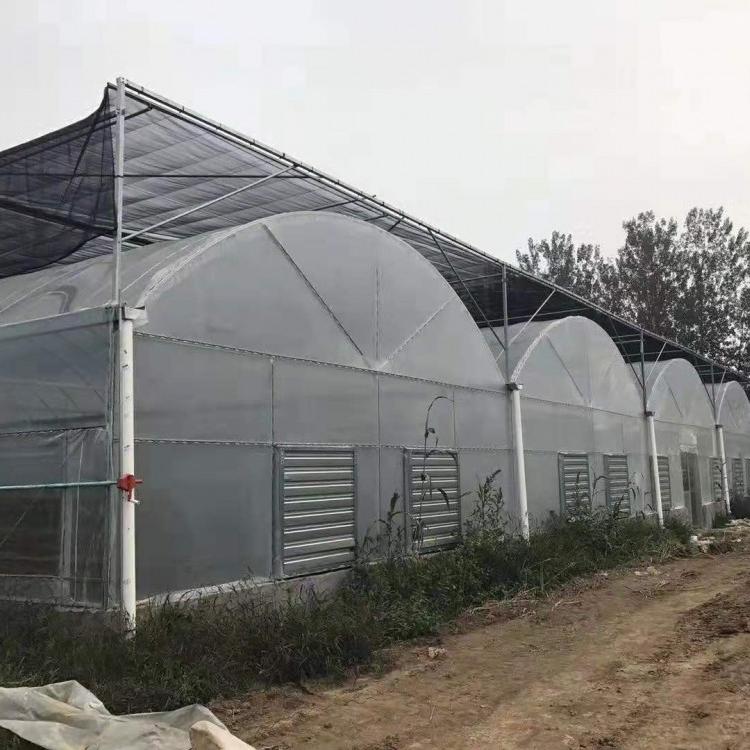 薄膜温室大棚 建造连栋温室 连栋大棚  农用温室大棚 连栋薄膜温室 金农温室