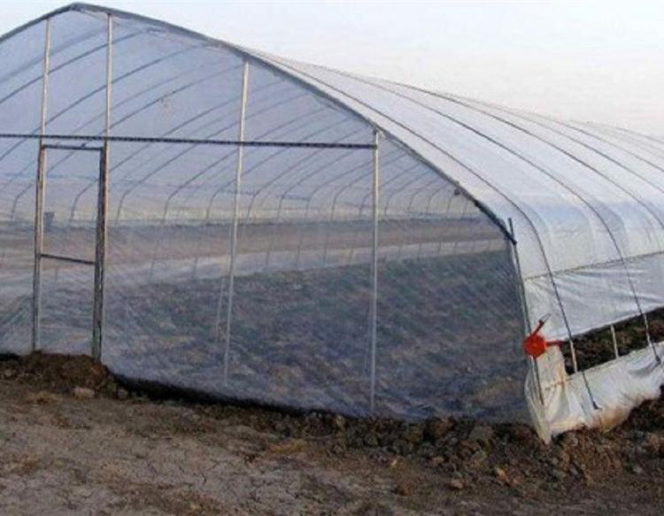 山东可定制单体简易大棚承建 种植大棚建造商  鑫创