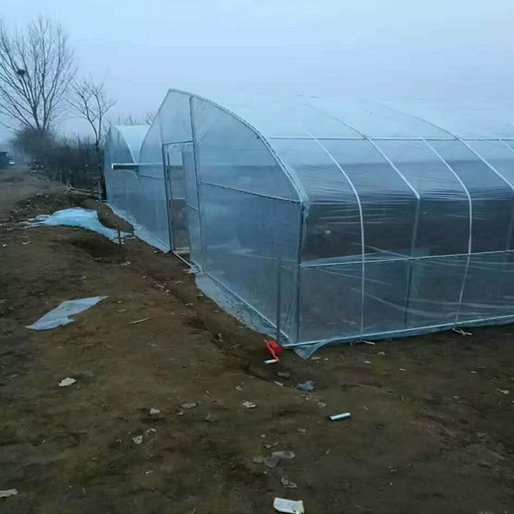 鑫创：蔬菜大棚 单体简易大棚建造商 种植大棚