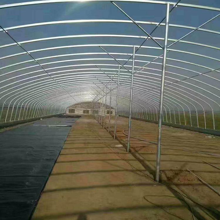 春秋拱棚建造 春秋拱棚设计 鑫创春秋拱棚