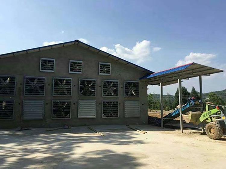 风机生产厂家 高端镀锌板材质 车间 畜牧养殖通风降温重锤风机 型号齐全 厂家直销