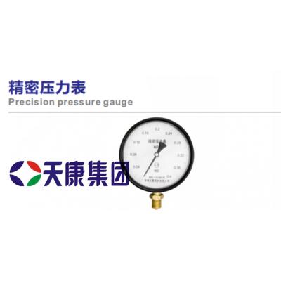 安徽天康精密压力表