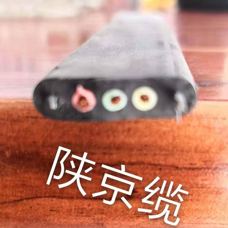 西安船用软电缆  陕西船用电缆 YFFB  2*1扁电缆