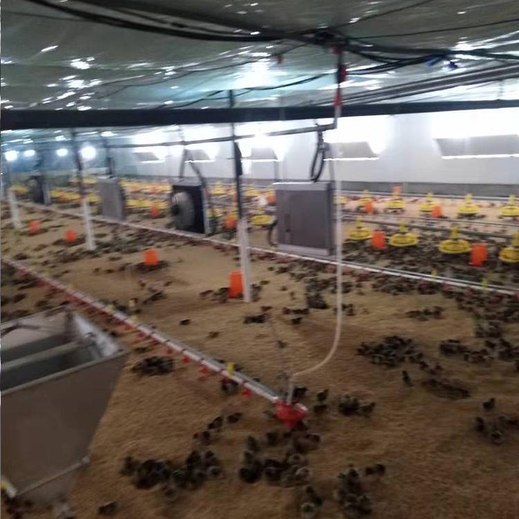 水线料线批发 养殖业水线料线大量供应 青州恒善畜牧