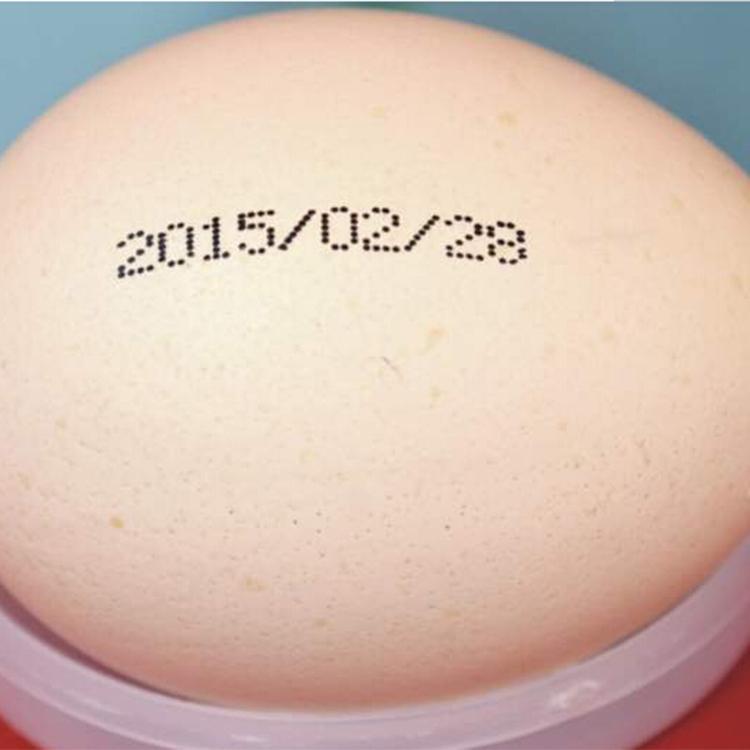 小字符喷码机 卓森喷码机 手持智能喷码机 鸡蛋 标签喷码机