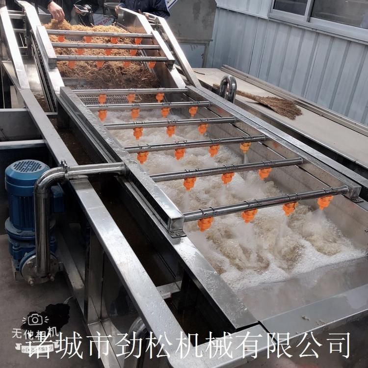 蔬菜去泥沙气泡清洗机 蓝莓大枣气泡清洗设备  果蔬气泡清洗机
