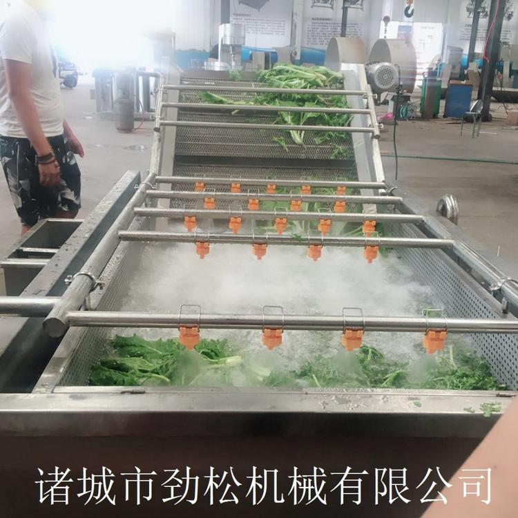 果蔬食品多功能气泡清洗机  辣椒鼓泡清洗设备 多功能大枣清洗机