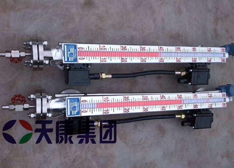 安徽天康带伴热功能磁翻板液位计