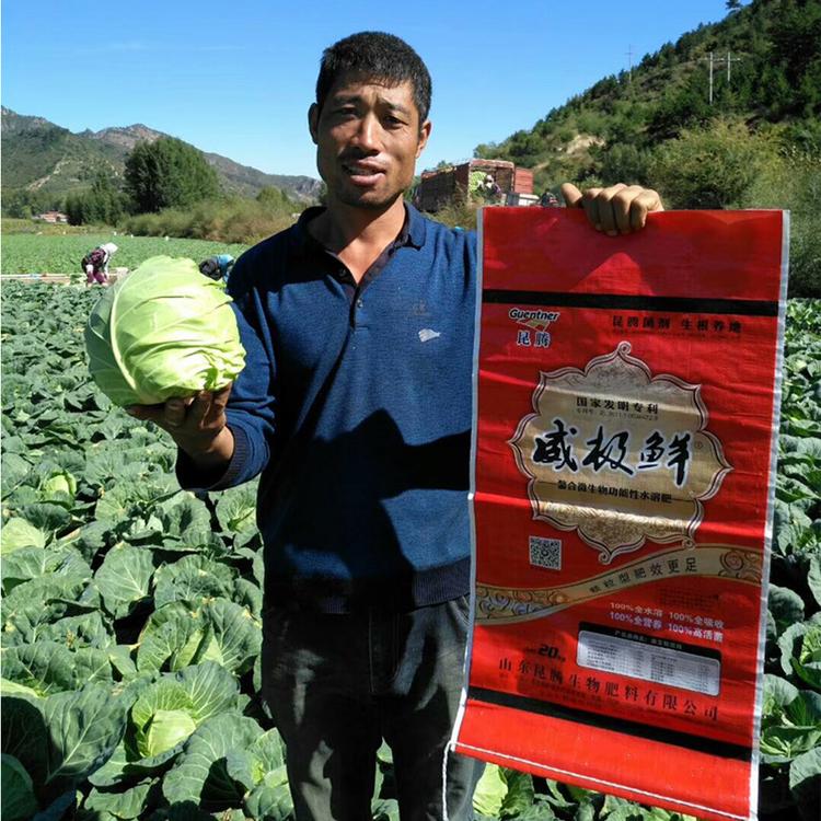 威极鲜1号微生物颗粒水溶肥冲施肥含矿源黄腐酸钾中微量元素糖蜜发酵液松土状根粉全水溶速吸收调节土壤酸碱增加抗逆性快速生根上色膨果促长提质增产补充全时期营养厂家直销
