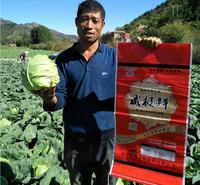 威极鲜1号微生物颗粒水溶肥冲施肥含矿源黄腐酸钾中微量元素糖蜜发酵液松土状根粉全水溶速吸收调节土壤酸碱增加抗逆性快速生根上色膨果促长提质增产补充全时期营养厂家直销