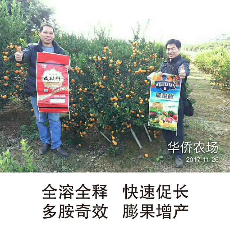 威极鲜2号颗粒水溶肥多胺酶颗粒冲施肥 瓜果专用膨果增产促长防黄叶 补充钙镁铁硼锌钼等中微量元素水溶微生物肥料微生物菌剂全水溶全吸收 厂家直销