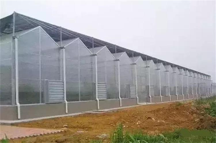 pc板温室厂家温室阳光房厂家阳光板温室大棚