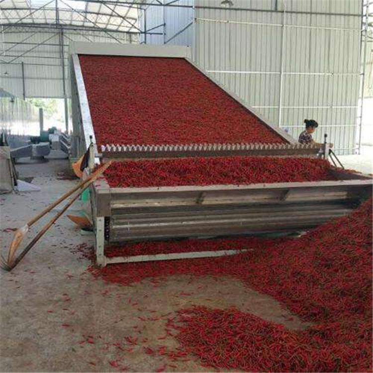 大型网带式辣椒专用烘干机设备_辣椒烘干机_辣椒网带式烘干机