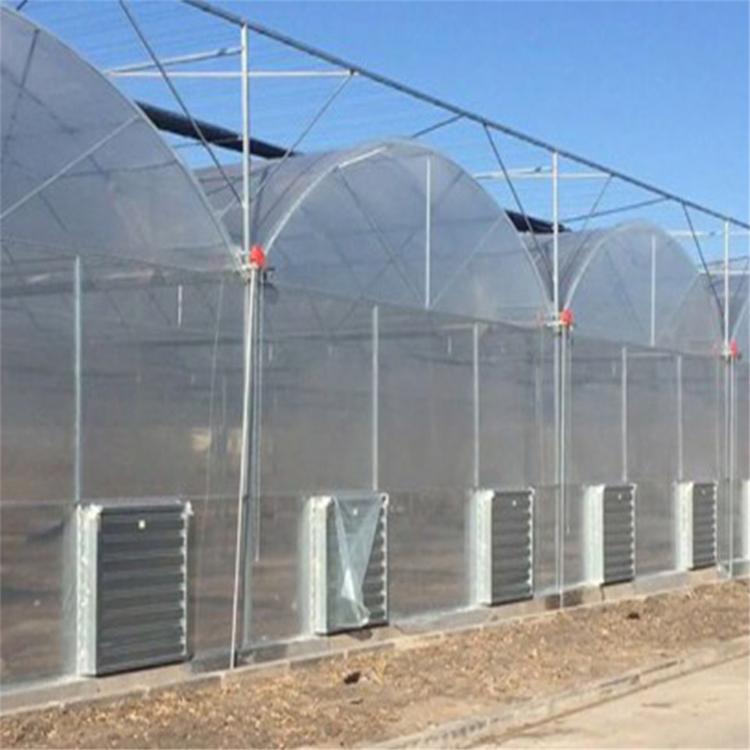 温室大棚   连栋薄膜温室大棚建设  鑫创温室