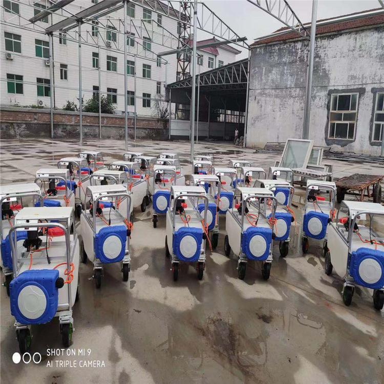 山东潍坊常年出售220V手推电动喷雾器   雨农农业大量有货
