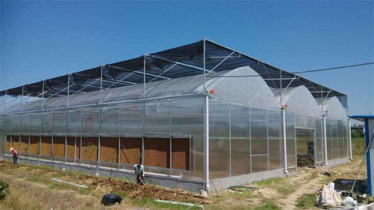 阳光板温室大棚价格阳光板温室价格pc板智能温室价格  青州金阳温室