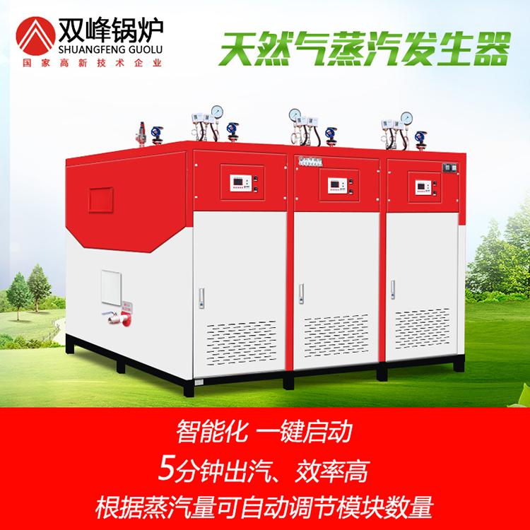 燃油燃气锅炉控制器全自动生物质蒸汽发生器商用燃气燃油蒸汽发生器全自动工业小型天然气蒸汽发生器