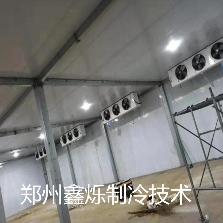 郑州800立方保鲜库厂家  郑州保鲜库批发 郑州保鲜库价格