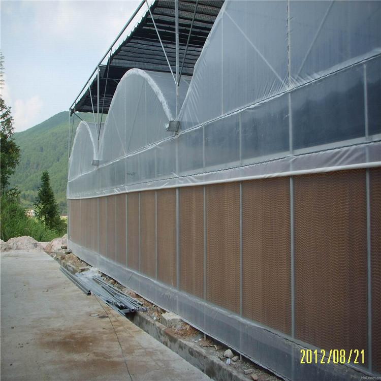 圆拱型连栋温室 承建连栋温室 薄膜温室