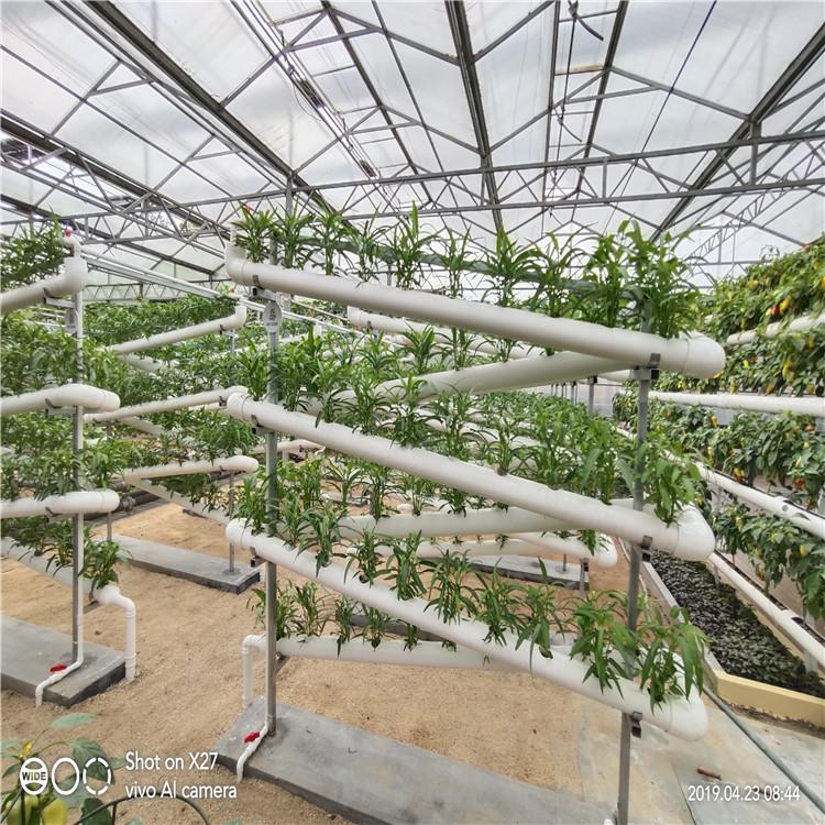 管道式栽培 漏窗式栽培模式  无土栽培用具批发价格