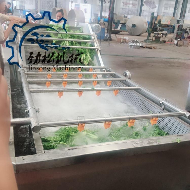 直销葡萄荔枝蓝莓气泡清洗流水线  腌渍蔬菜脱盐清洗机 价格
