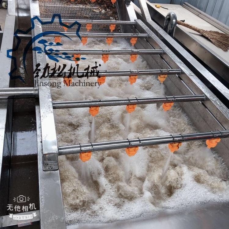 辣椒去泥不锈钢菠菜气泡清洗机价格  小型果蔬清洗设备